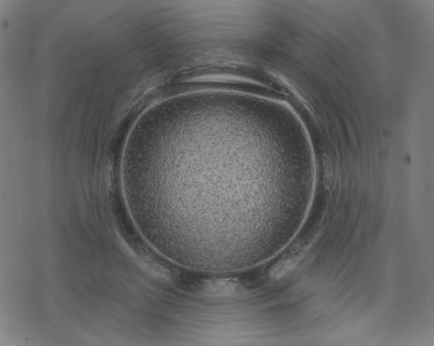 X0000076320451200610061414
