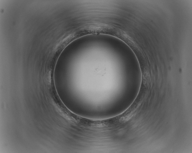 X0000076320454200610061414