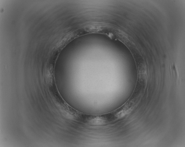 X0000076320460200610061415