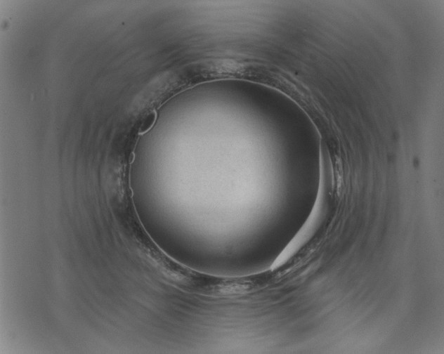 X0000076320462200610061415