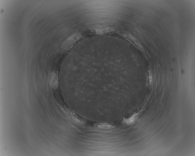 X0000076320471200610061415