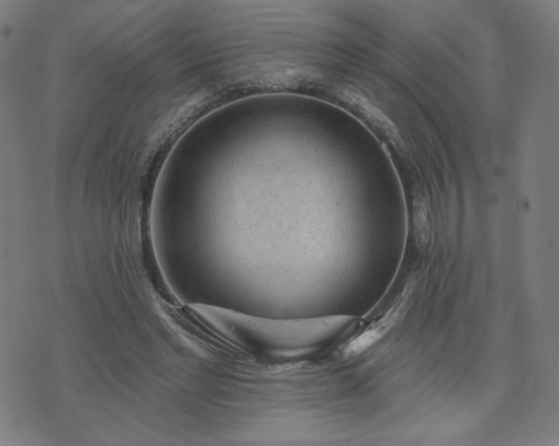 X0000076320493200610061414