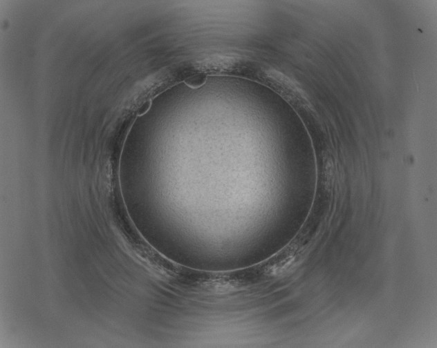 X0000076320498200610061414