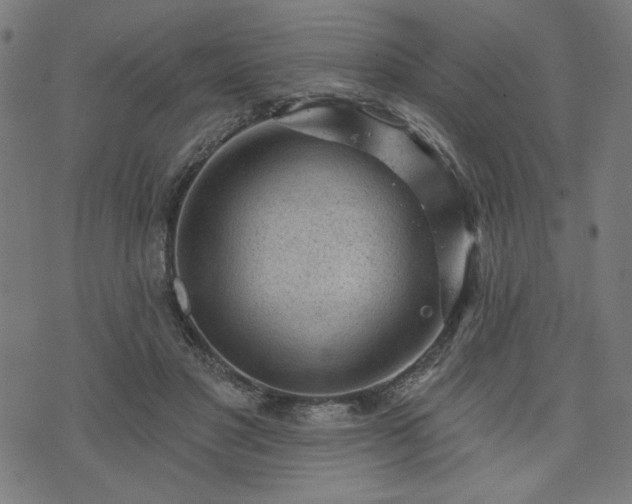 X0000076320501200610061414