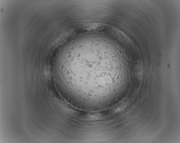 X0000076320510200610061414