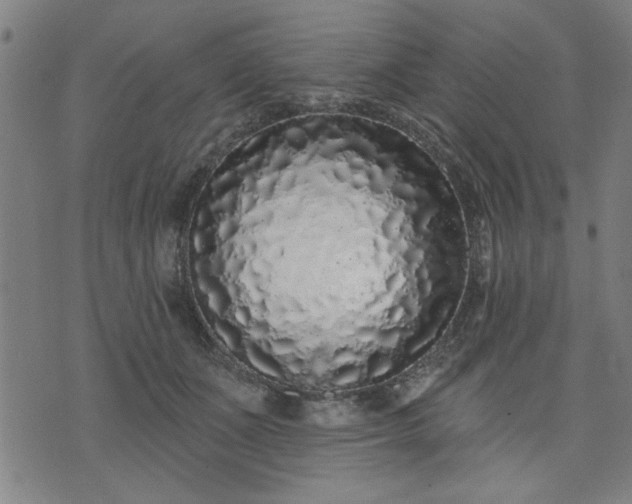 X0000076320511200610061414