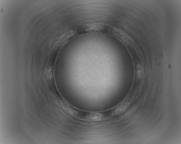 X0000076320514200610061414