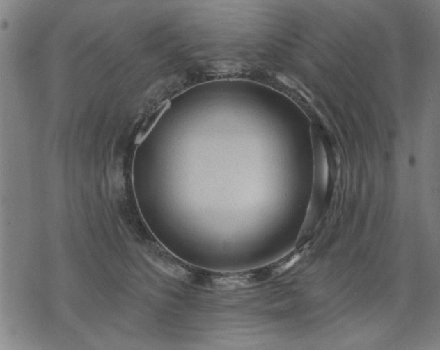 X0000076320516200610061413