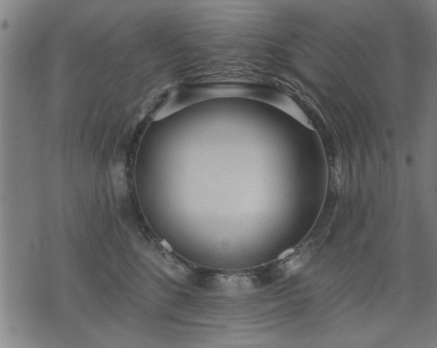 X0000076320520200610061413