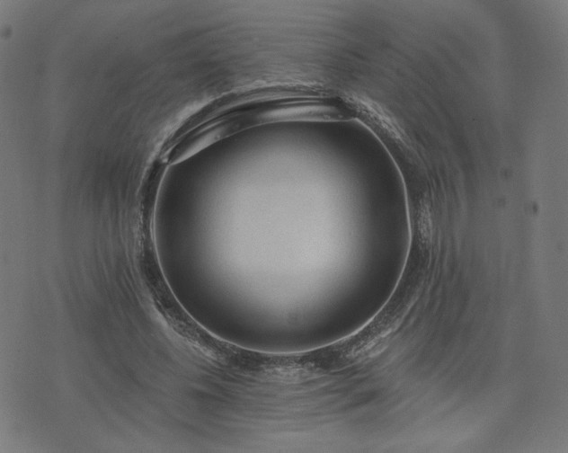X0000076320540200610061413
