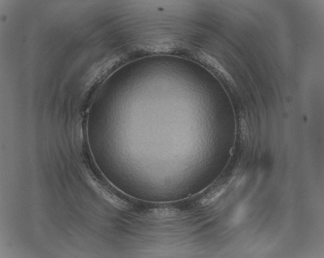 X0000076320541200610061413
