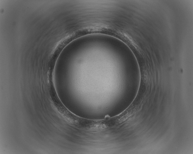 X0000076320543200610061413
