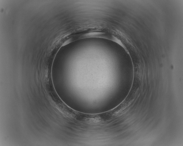 X0000076320548200610061413
