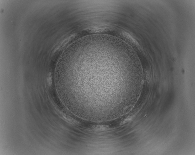 X0000076320549200610061413