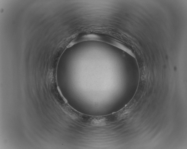 X0000076320560200610061413