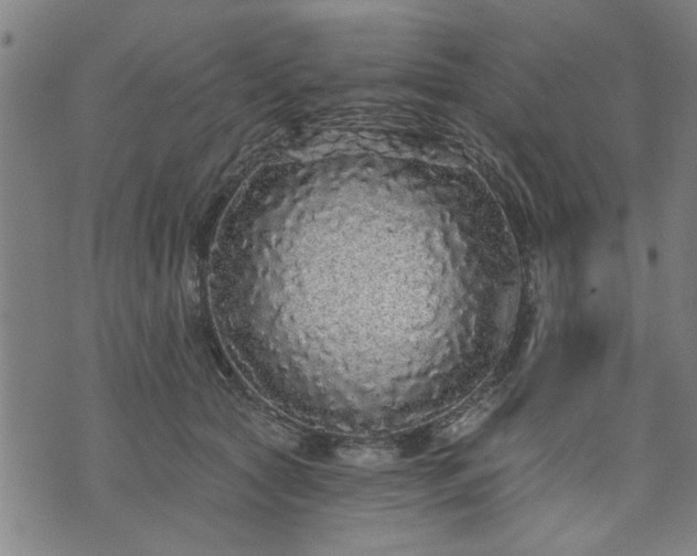 X0000076320561200610061413