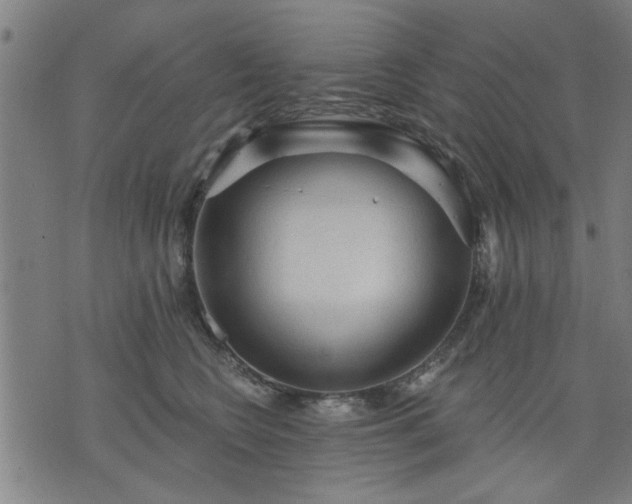 X0000076320566200610061413