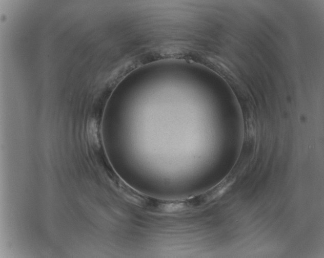 X0000076320575200610061413