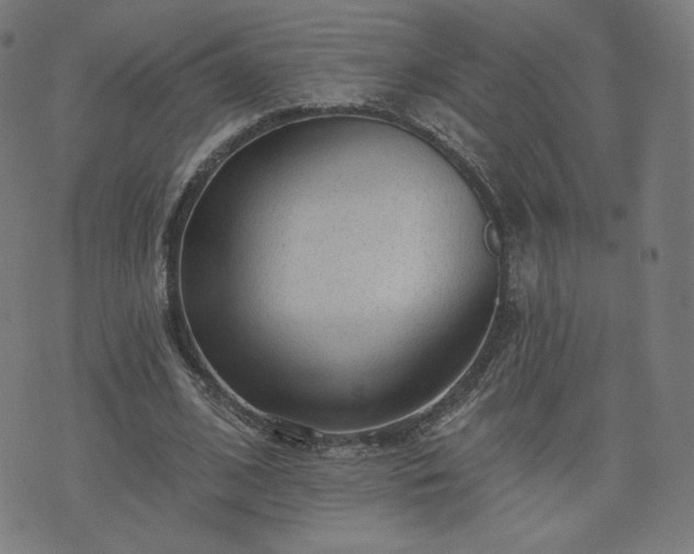 X0000076320584200610061412