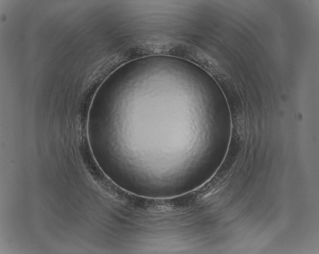 X0000076320594200610061412