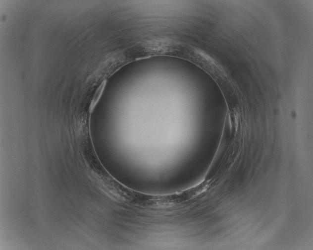 X0000076320601200610061412