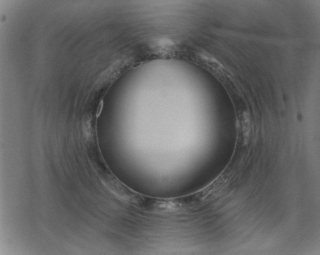 X0000076320611200610061412