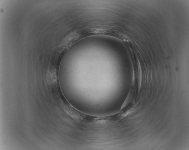 X0000076320620200610061412