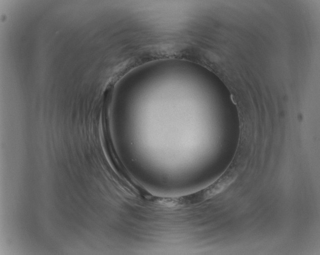 X0000076320624200610061412
