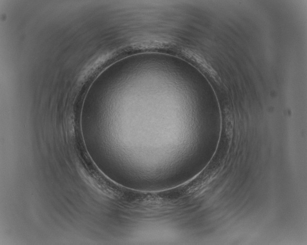 X0000076320631200610061411