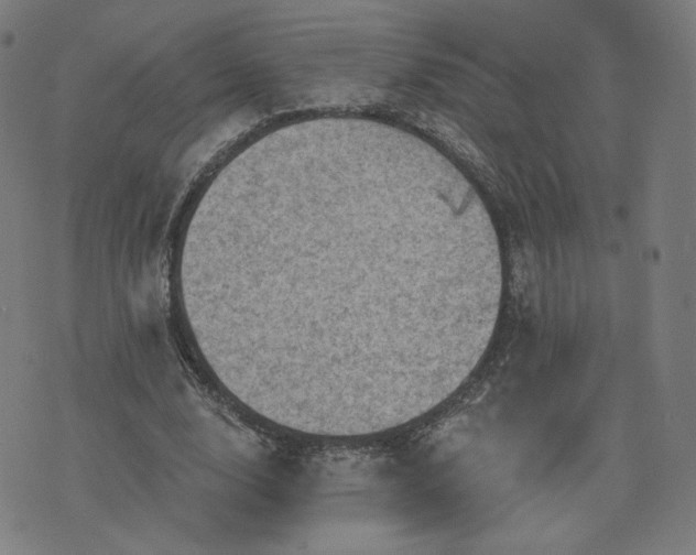 X0000076320632200610061411