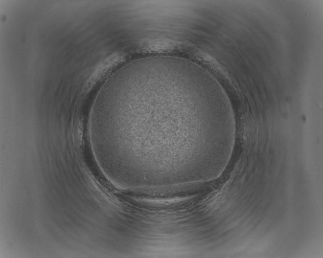 X0000076320640200610061411