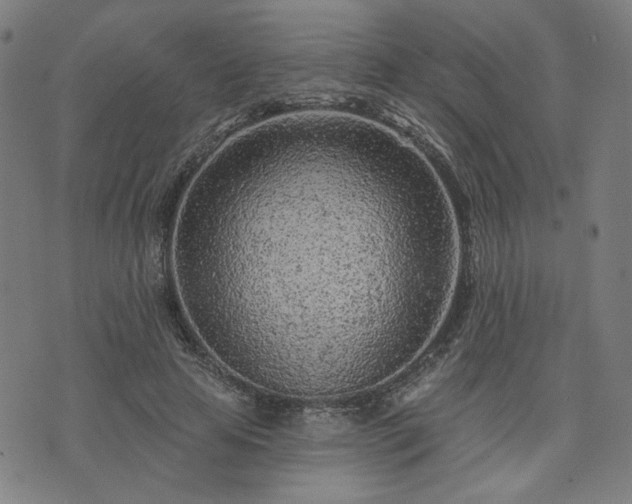 X0000076320641200610061411