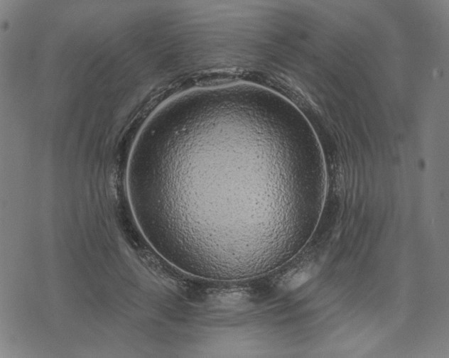 X0000076320643200610061411