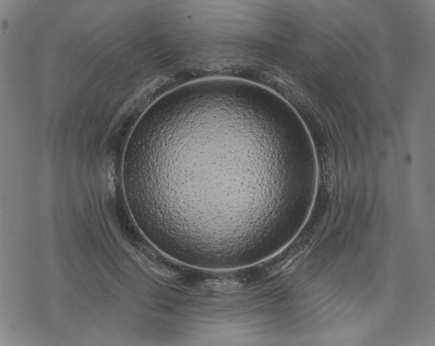 X0000076320644200610061411