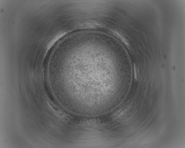 X0000076320675200610061411