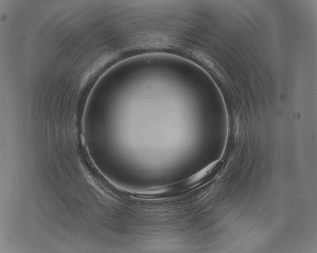 X0000076320677200610061411