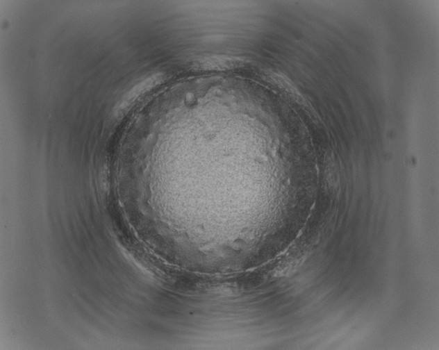X0000076320683200610061411