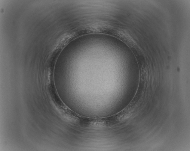 X0000076320694200610061411
