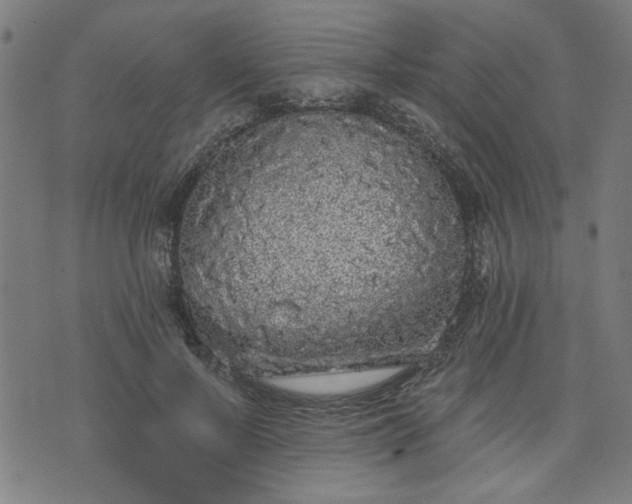 X0000076320695200610061411