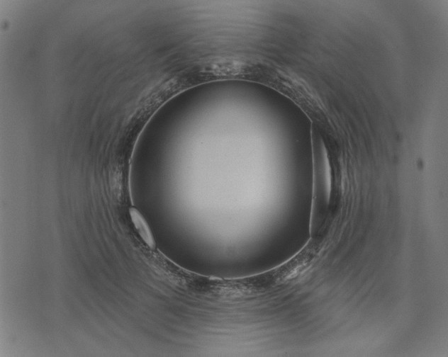 X0000076320697200610061411