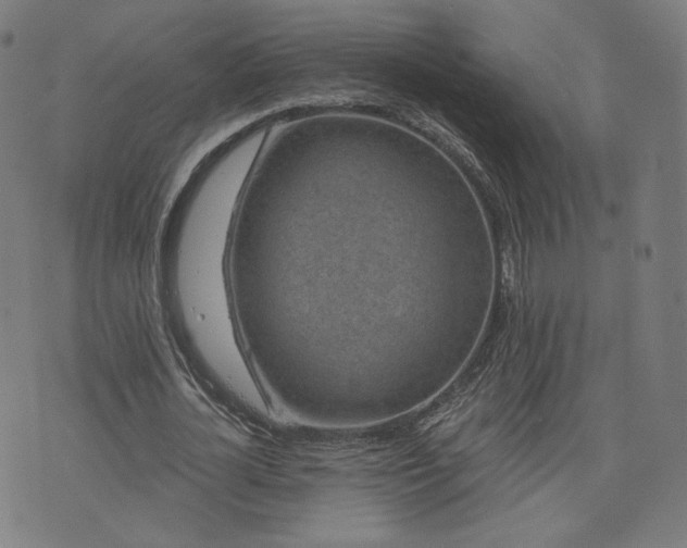 X0000076320724200610061409