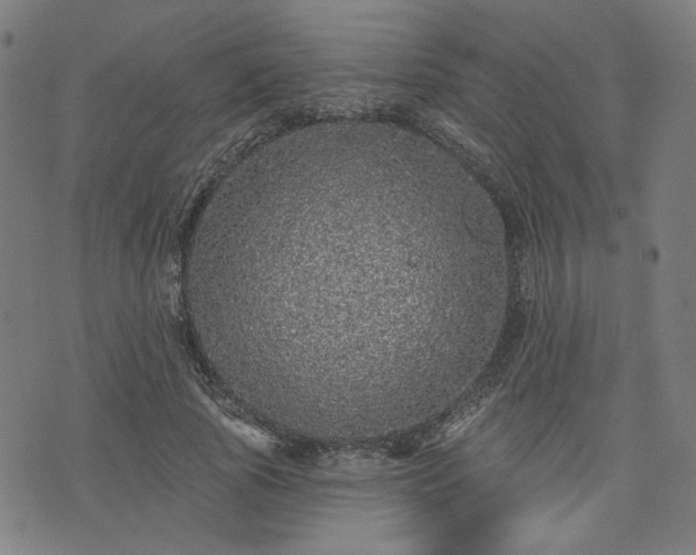 X0000076320737200610061410