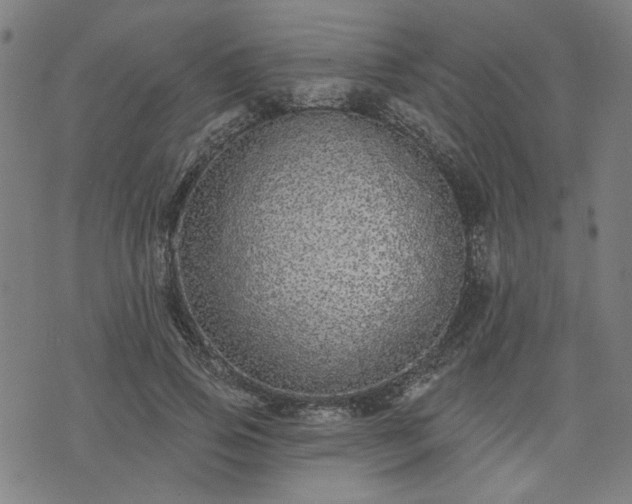 X0000076320741200610061410