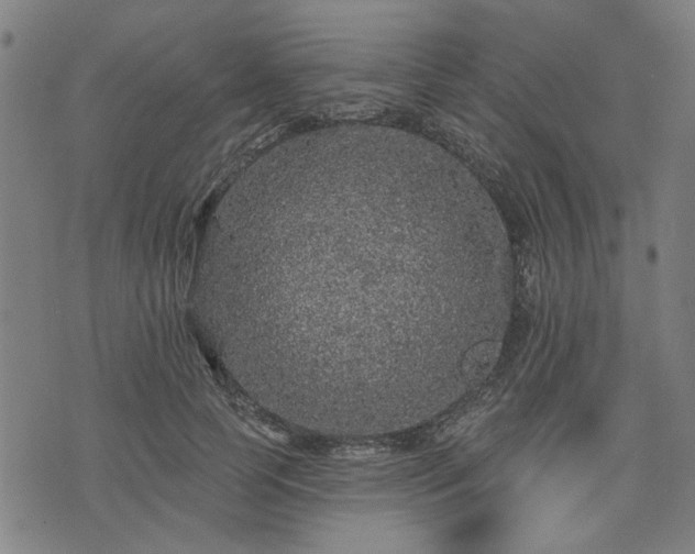 X0000076320745200610061410