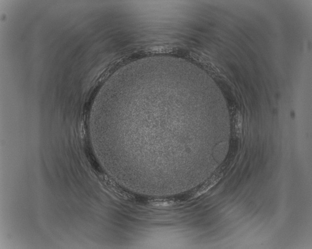 X0000076320746200610061410