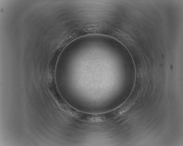 X0000076320751200610061410