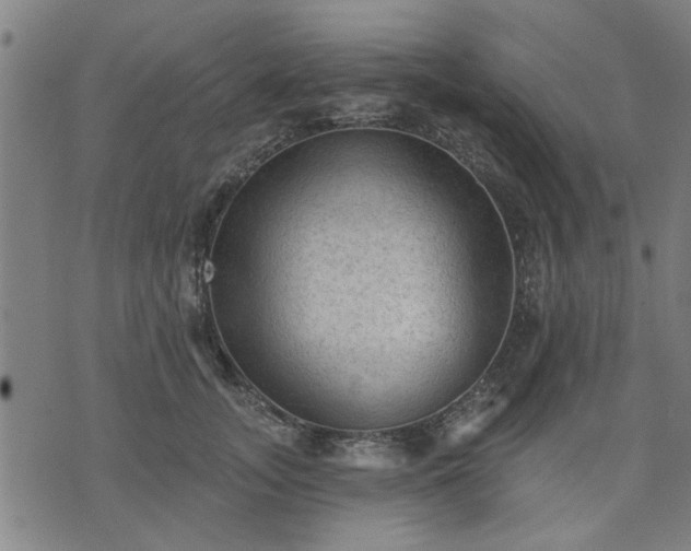 X0000076320755200610061410