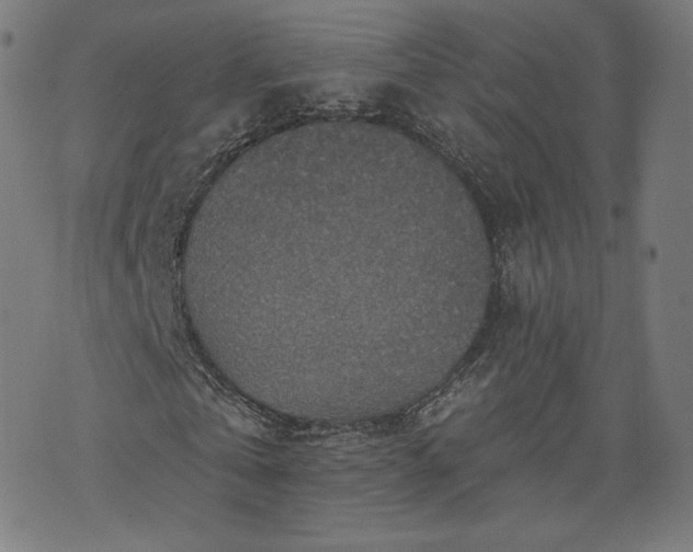 X0000076320769200610061409