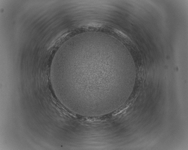 X0000076320774200610061409