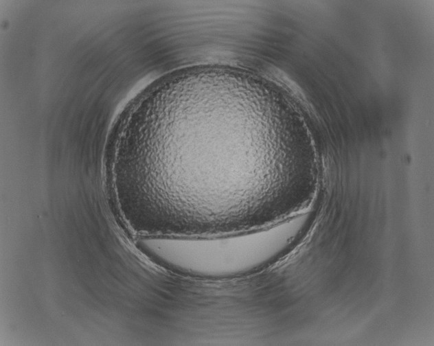 X0000076320780200610061409